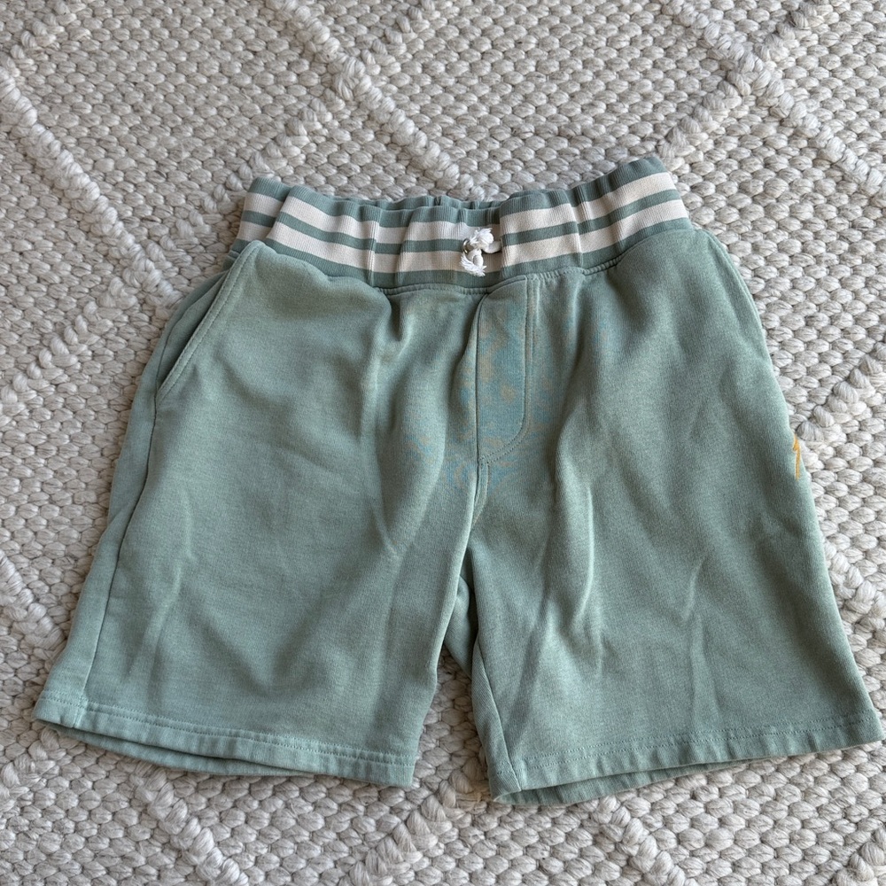 Lightning BOLT clothing Sage Green Striped Retro Waistband Casual Shorts